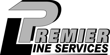 Premier Power Professionals Inc